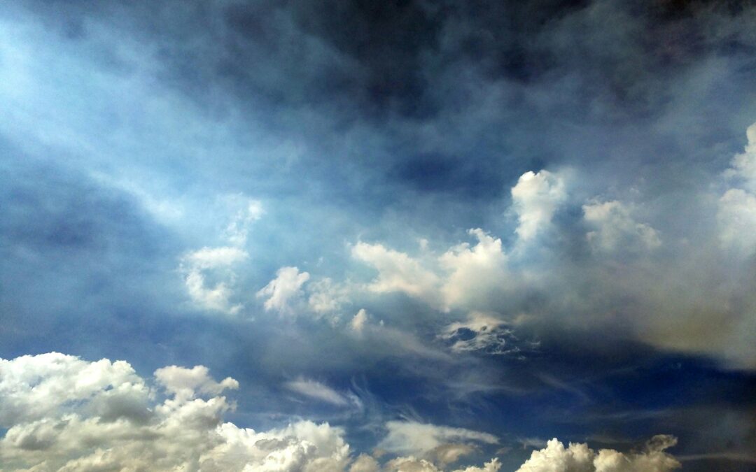 Air cargo charter to avert ecological disaster!